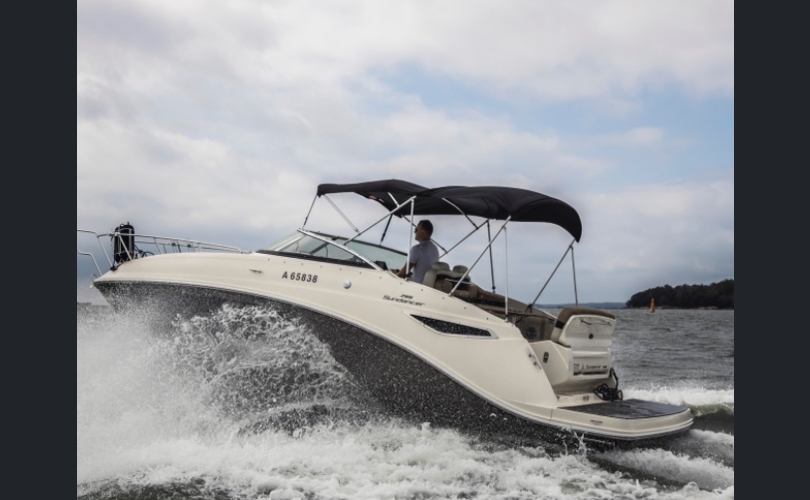 Sea Ray 265 Sundancer-kuva-5
